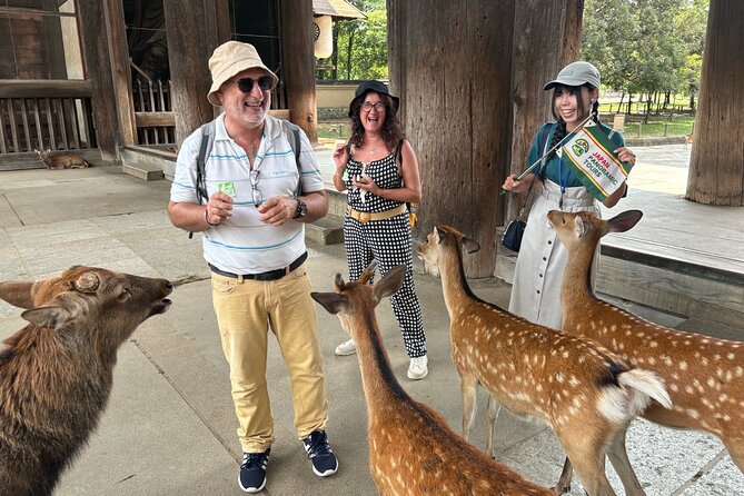 World Heritage Kyoto & Nara Uji Authentic Matcha Experience - Kasuga Grand Shrine and Nara’s sacred forest setting