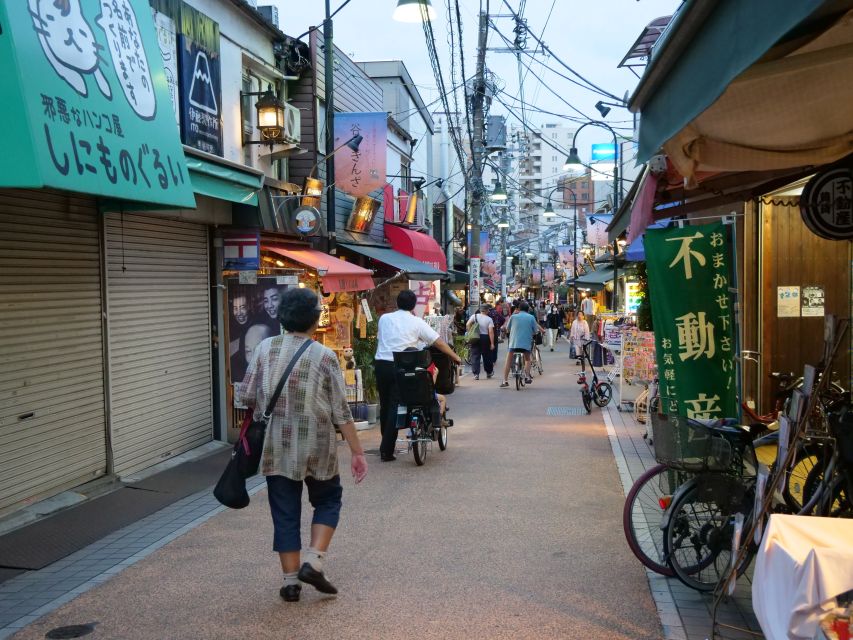 Yanaka District: Historical Walking Tour in Tokyo's Old Town - Walking, weather, and comfort