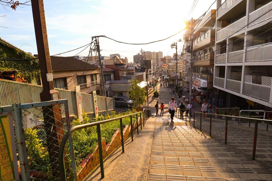 Yanaka District: Historical Walking Tour in Tokyo's Old Town - Nezu Shrine and its red Torii gates