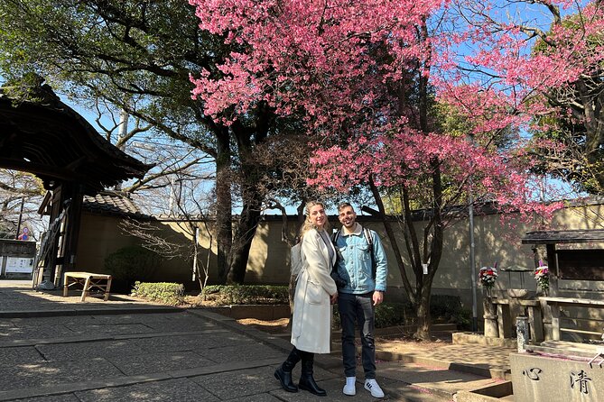 Yanaka Walking Tour: Historic and Traditional District of Tokyo - Tea, art, and old neighborhood buildings
