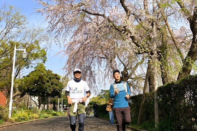 Yokohama Half Day Walking Tour with an Expert Local Guide - Sakuragicho and the Red Brick Warehouse